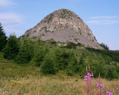 Le Mont Gerbier de Jonc