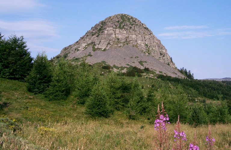 Le Mont Gerbier de Jonc